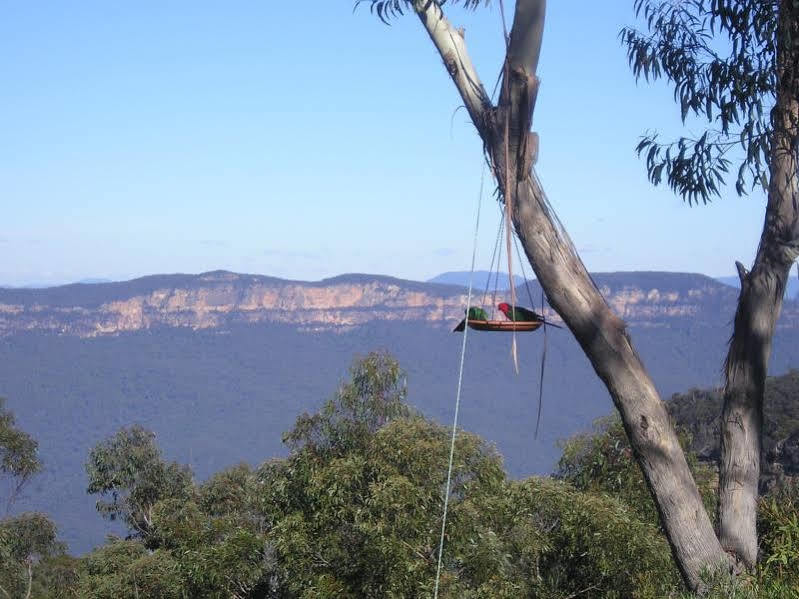 Valley Of The Waters B&B Wentworth Falls Exterior foto