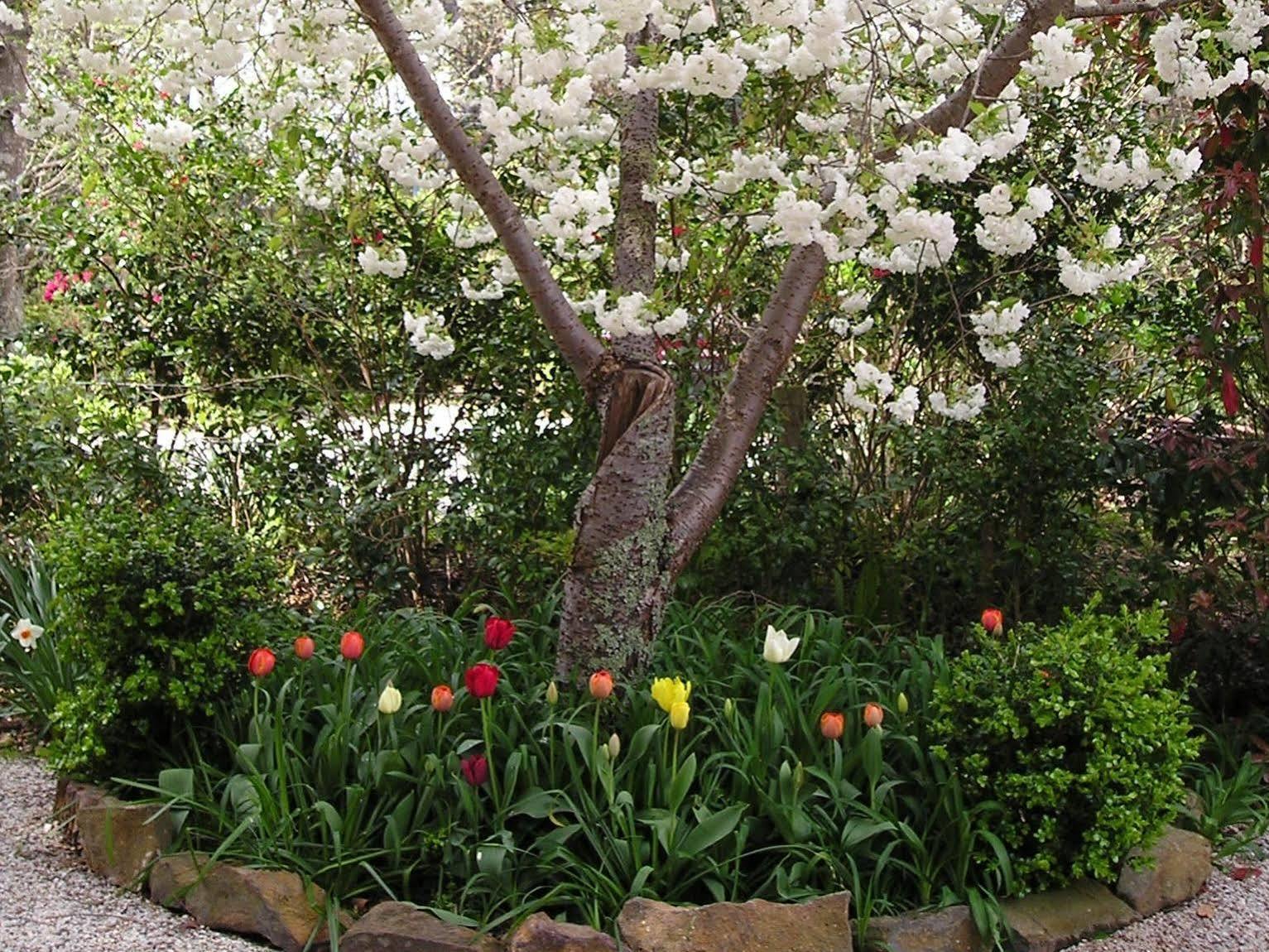 Valley Of The Waters B&B Wentworth Falls Exterior foto